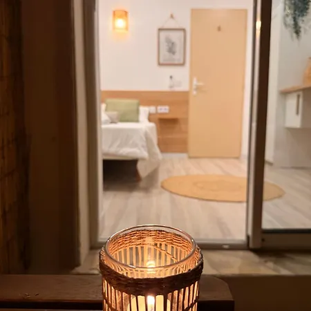 Simple Avec Terrasse Privee - Proche Tram Et Centre - Cuisine Et Salle De Bain En Partage ゲストハウス モンペリエ