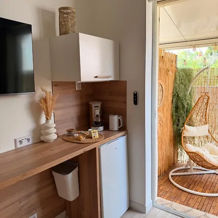 Simple Avec Terrasse Privee - Proche Tram Et Centre - Cuisine Et Salle De Bain En Partage