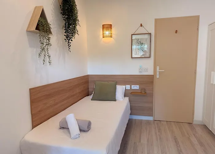 Casa de hóspedes Simple Avec Terrasse Privee - Proche Tram Et Centre - Cuisine Et Salle De Bain En Partage 3*