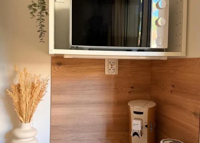 ゲストハウス Simple Avec Terrasse Privee - Proche Tram Et Centre - Cuisine Et Salle De Bain En Partage 3*