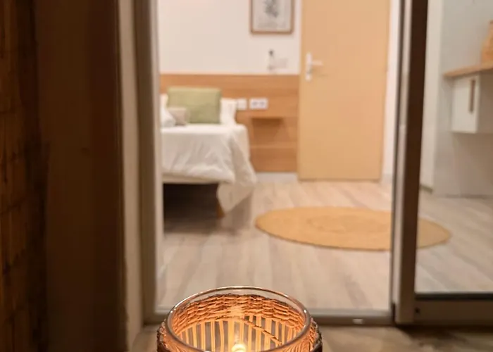 Simple Avec Terrasse Privee - Proche Tram Et Centre - Cuisine Et Salle De Bain En Partage ゲストハウス モンペリエ