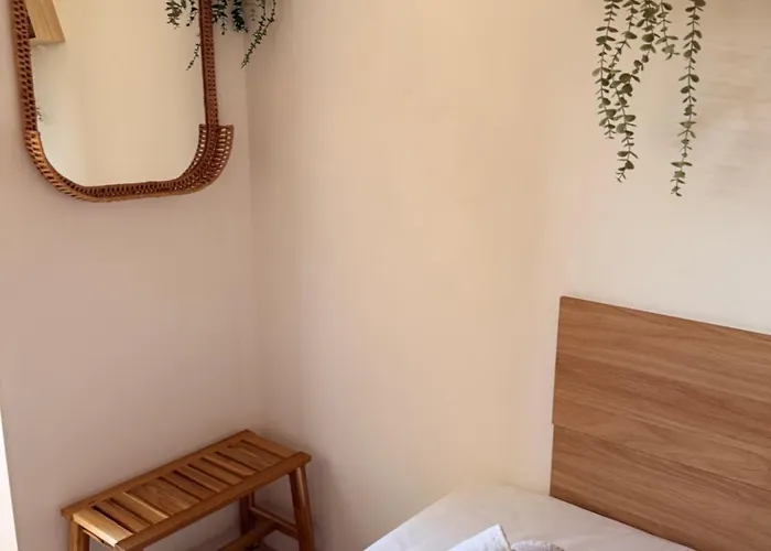 Simple Avec Terrasse Privee - Proche Tram Et Centre - Cuisine Et Salle De Bain En Partage 3*