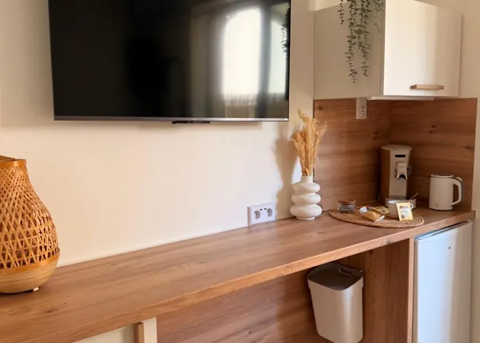 Casa de hóspedes Simple Avec Terrasse Privee - Proche Tram Et Centre - Cuisine Et Salle De Bain En Partage 3*
